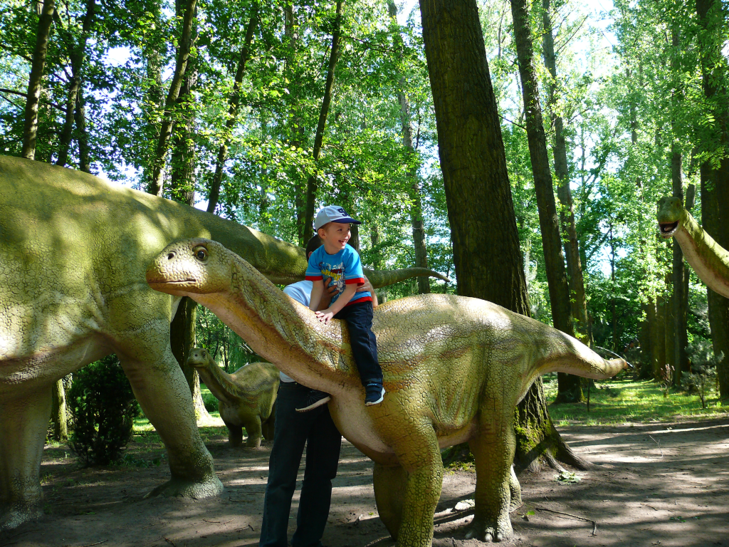 Park dinozaurów w Rogowie